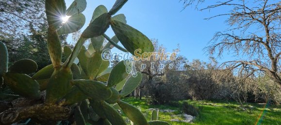 3-salle Maison à Sannicola, Italy No. 236228 3