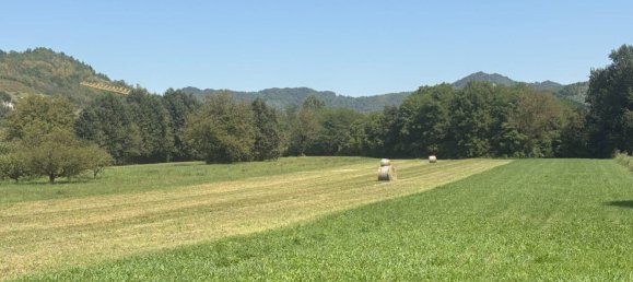 4 bedrooms Apartment in Casalborgone, Italy No. 316724 26