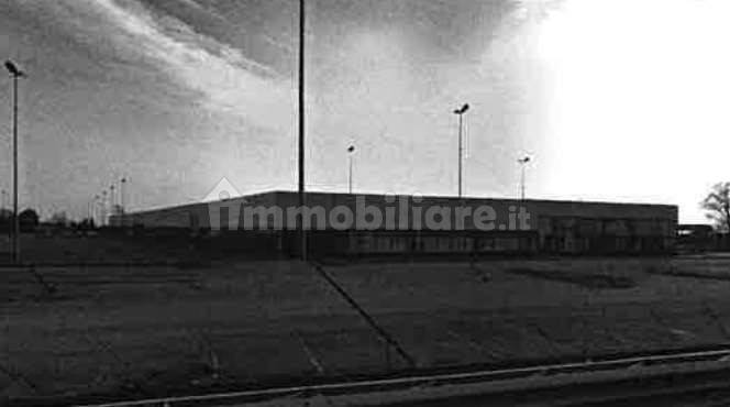 1 room Commercial property in Isola Rizza, Italy No. 264683