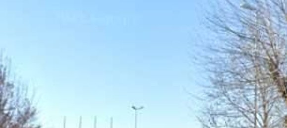 1 room Commercial property in Isola Rizza, Italy No. 264683 9