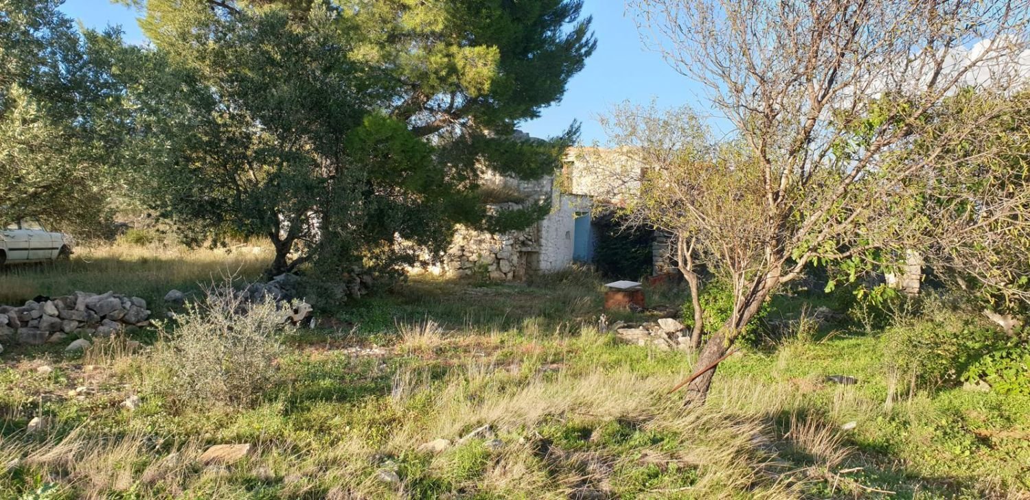  قطعة أرض في Canet Lo Roig, Spain 51127متر مربع رقم 162754