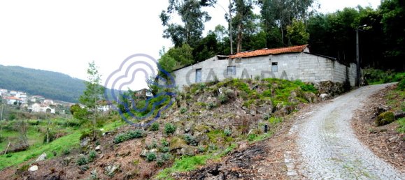 1 Schlafzimmer Haus in Penafiel, Portugal, Nr. 37431 3