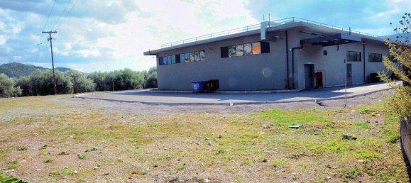 1200m² Property for sale in Phocis, Central Greece, Thessaly and Central Greece, Greece № 3759 4