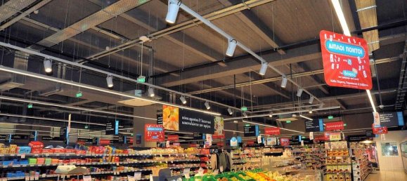 1200m² Property in Phocis, Greece No. 3759 2