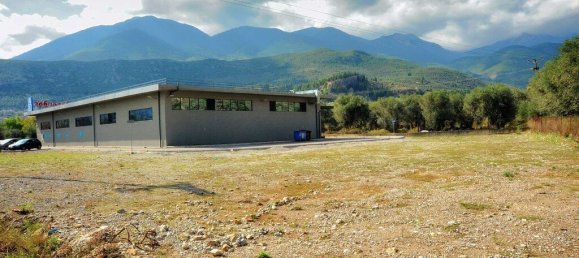 1200m² Property for sale in Phocis, Central Greece, Thessaly and Central Greece, Greece № 3759 6