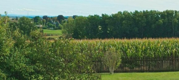 2 bedrooms Townhouse in Altenburger Land, Germany No. 282910 7