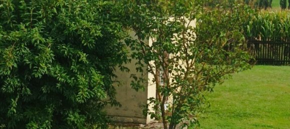 2 bedrooms Townhouse in Altenburger Land, Germany No. 282910 10