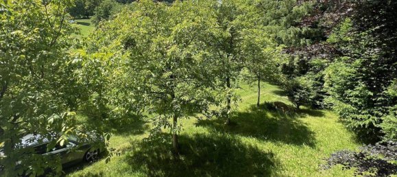 Casa de 6 habitaciónes en Pierbach, Austria No. 32235 9