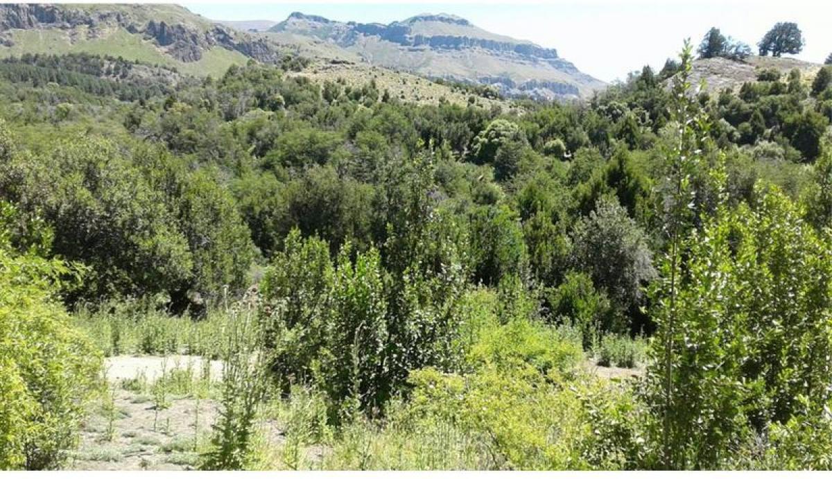 Grundstück in Neuquen, Argentina, Nr. 39158