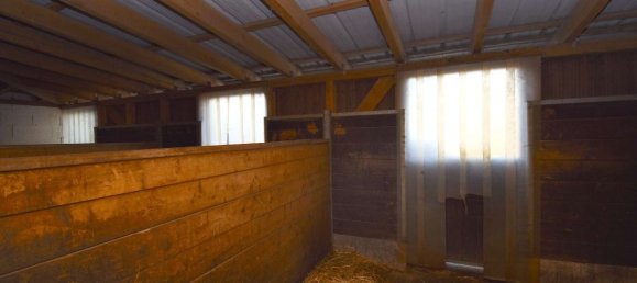 3 bedrooms Farm in Enzkreis, Germany No. 60304 13