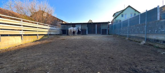 3 bedrooms Farm in Enzkreis, Germany No. 60304 12