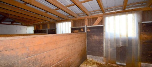 3 bedrooms Farm in Enzkreis, Germany No. 60304 15