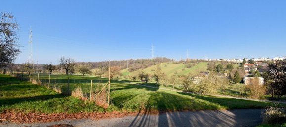 3 bedrooms Farm in Enzkreis, Germany No. 60304 10