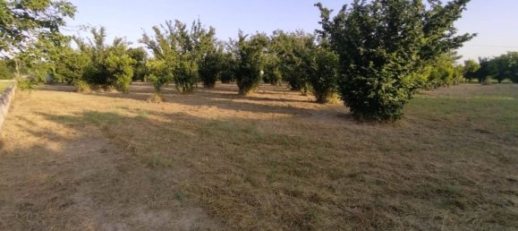 Terreno em Pontecagnano Faiano, Italy 5500 m² N.º 73887 3