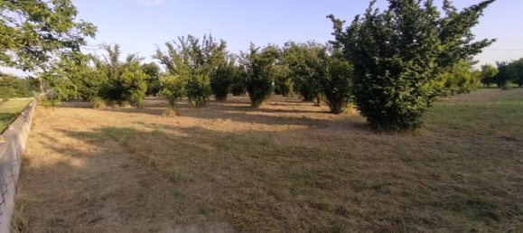 Terreno em Pontecagnano Faiano, Italy 5500 m² N.º 73887 2