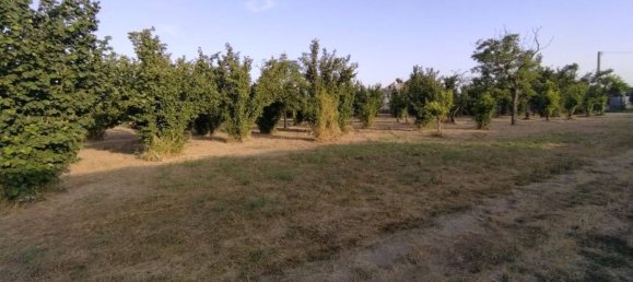 Terreno em Pontecagnano Faiano, Italy 5500 m² N.º 73887 4