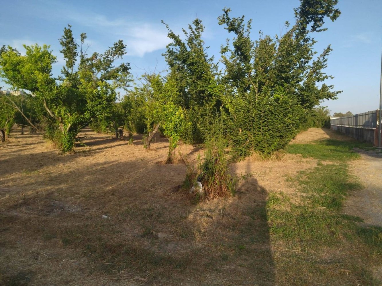 Terreno em Pontecagnano Faiano, Italy 5500 m² N.º 73887