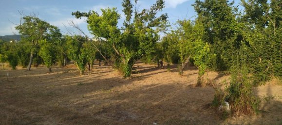 Terreno em Pontecagnano Faiano, Italy 5500 m² N.º 73887 6