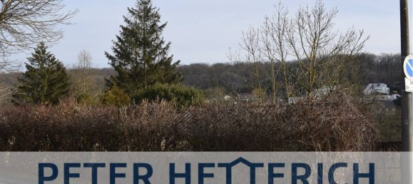 Terrain à Schweinfurt, Germany No. 64277 2