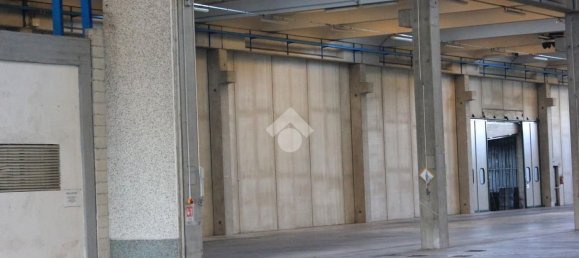 5763m² Warehouse in Luzzara, Italy No. 60482 14
