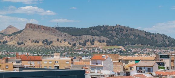 4 bedrooms Penthouse in Albolote, Spain No. 170014 17