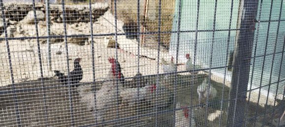 5 غرف نوم منزل في Andalusia, Spain رقم 191474 20