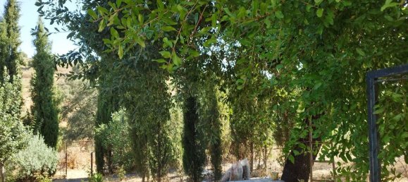 5 غرف نوم منزل في Andalusia, Spain رقم 191474 2