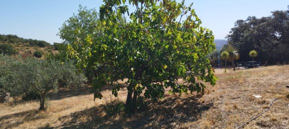 5 غرف نوم منزل في Andalusia, Spain رقم 191474 27