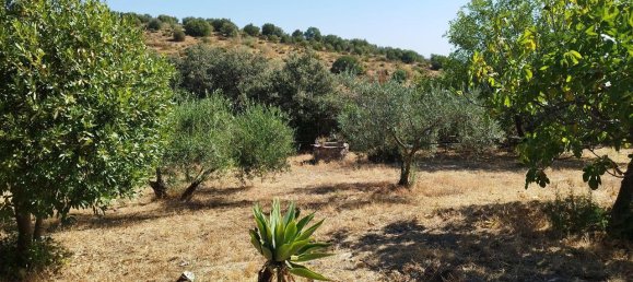 5 غرف نوم منزل في Andalusia, Spain رقم 191474 6