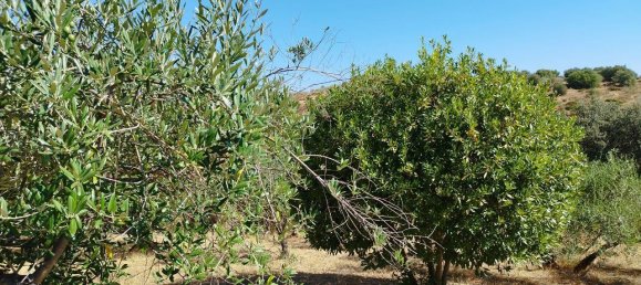 5 غرف نوم منزل في Andalusia, Spain رقم 191474 32