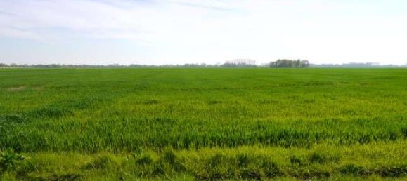 6 chambres Ferme à Cuxhaven, Germany No. 317661 28