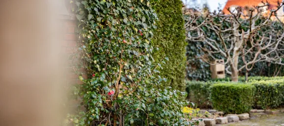 Дом с 5 спальнями в Cuxhaven, Германия № 181424 40