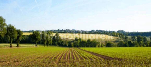 15000m² Land in Patrica, Italy No. 73570 7