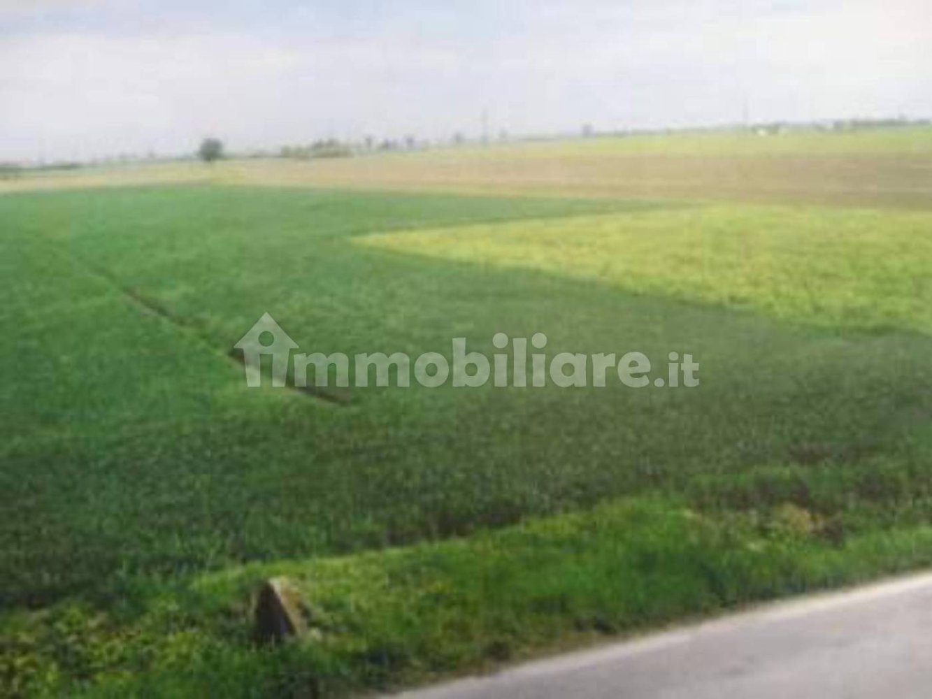 Grundstück in Patrica, Italy 15000m², Nr. 73570