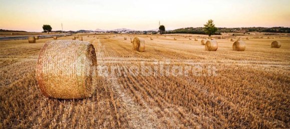 15000m² Land in Patrica, Italy No. 73570 4