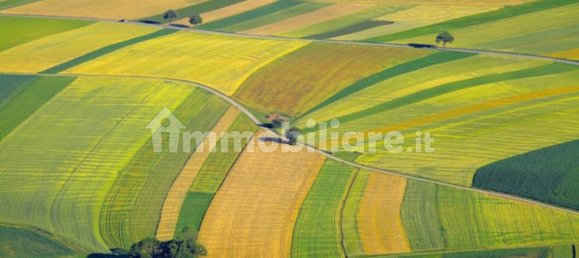 15000m² Land in Patrica, Italy No. 73570 10