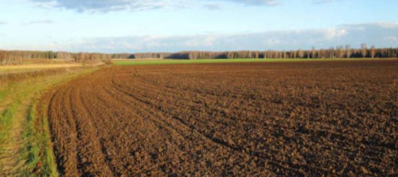 15000m² Land in Patrica, Italy No. 73570 9