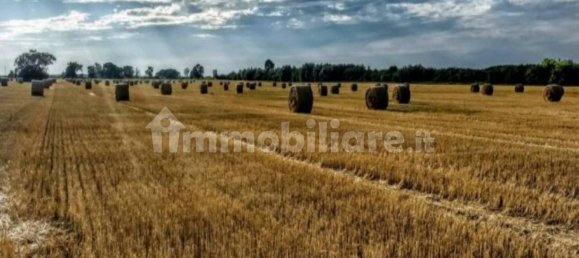 15000m² Land in Patrica, Italy No. 73570 8