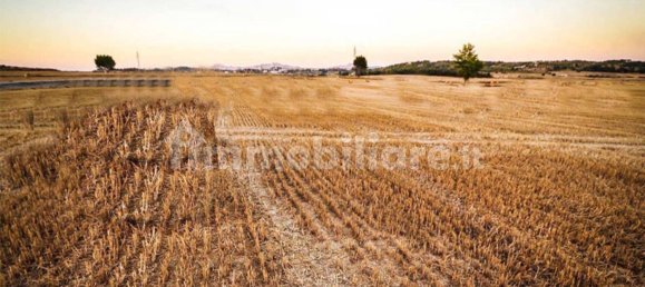 15000m² Land in Patrica, Italy No. 73570 2