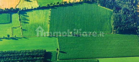 15000m² Land in Patrica, Italy No. 73570 5