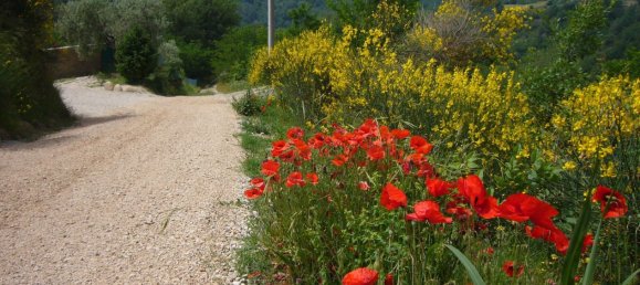 8 rooms House in Ascoli Piceno, Italy No. 137313 13