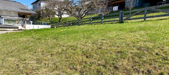  Land in Grinzens, Austria No. 213730 5