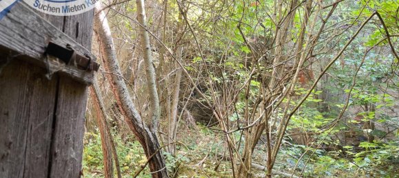 5 chambres Maison de ville à Raabs an der Thaya, Austria No. 219757 13