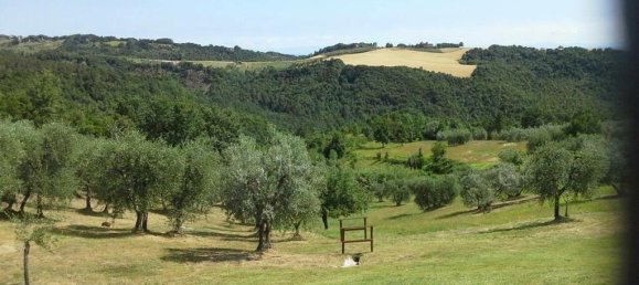 8 bedrooms House in Chianni, Italy No. 58437 86