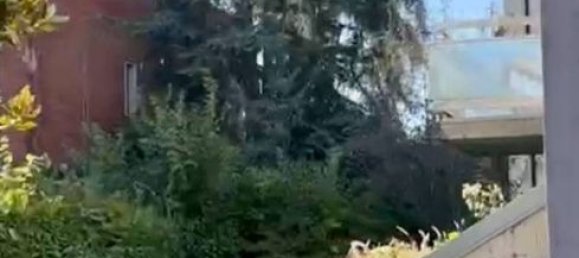 6 bedrooms Villa in Bologna, Italy No. 358883 14