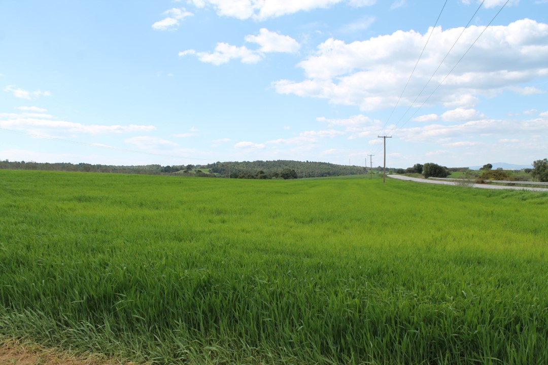 Hotel in Chalkidiki, Greece 7500m², Nr. 6382