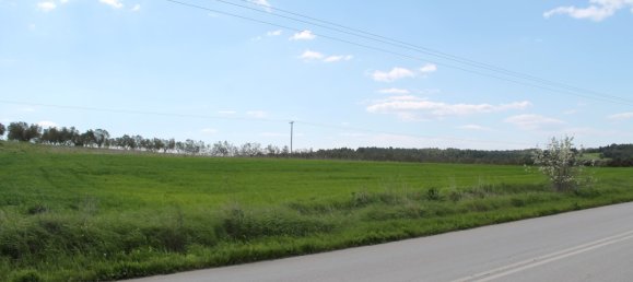 Hotel in Chalkidiki, Greece 7500m², Nr. 6382 4