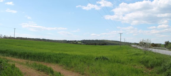 Hotel in Chalkidiki, Greece 7500m², Nr. 6382 2