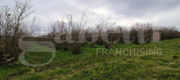 Terrain à Corchiano, Italy No. 359215 2