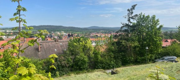  Land in Harz, Germany No. 152819 2